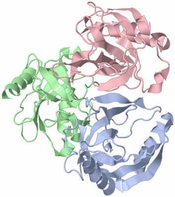 Image Asymmetric Unit