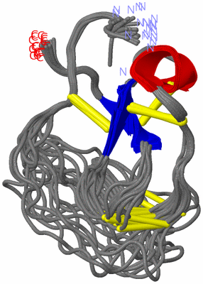 Image NMR Structure - all models