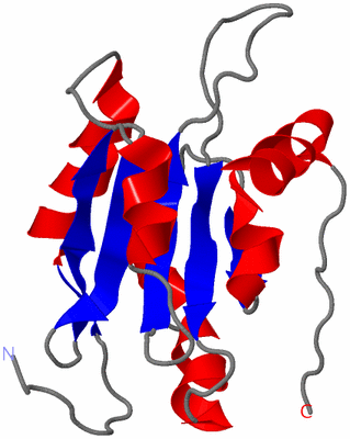 Image NMR Structure - model 1