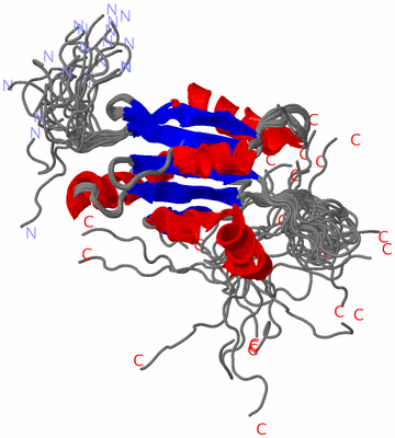 Image NMR Structure - all models