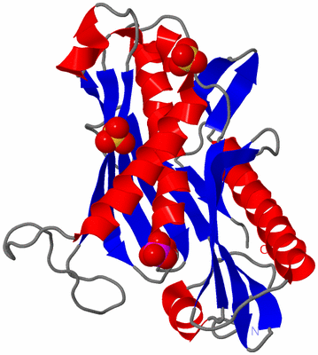 Image Asymmetric Unit