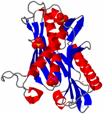 Image Asymmetric Unit