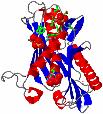 Image Asym. Unit - sites