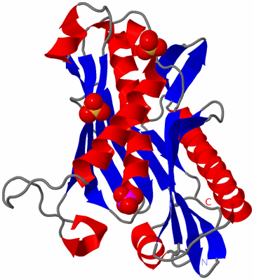 Image Asymmetric Unit