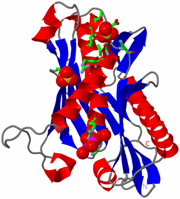 Image Asym. Unit - sites