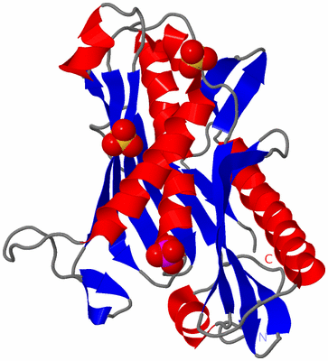 Image Asymmetric Unit