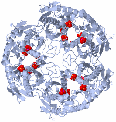 Image Biological Unit 1