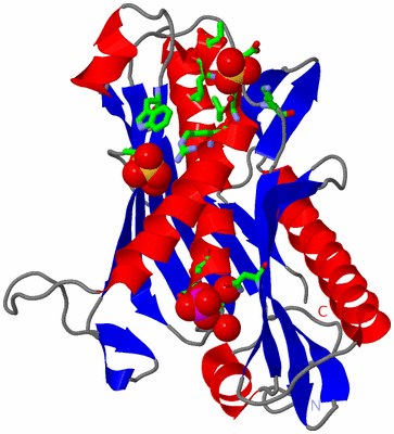 Image Asym. Unit - sites