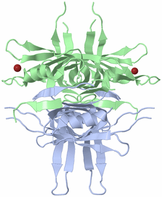 Image Biological Unit 1