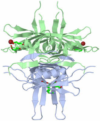 Image Biol. Unit 1 - sites