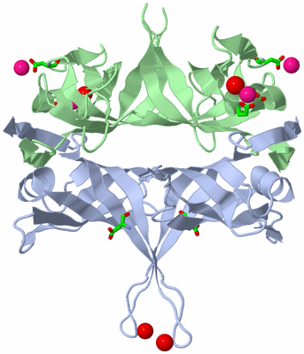 Image Biol. Unit 1 - sites