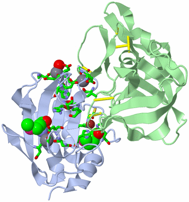 Image Biol. Unit 1 - sites