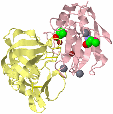 Image Biological Unit 2