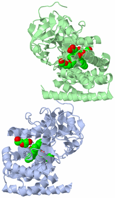 Image Asymmetric Unit