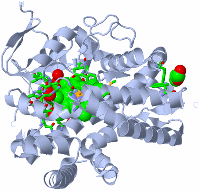 Image Biol. Unit 1 - sites