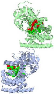 Image Asym. Unit - sites