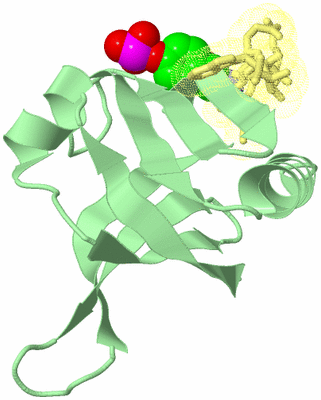 Image Biological Unit 3