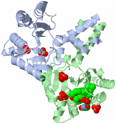 Image Asym./Biol. Unit