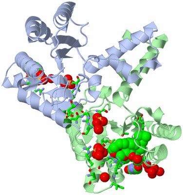 Image Asym./Biol. Unit - sites