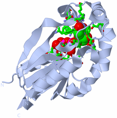 Image Biol. Unit 1 - sites