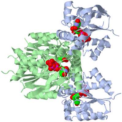 Image Biological Unit 3