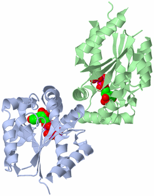 Image Biological Unit 4