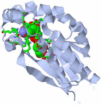 Image Biol. Unit 1 - sites