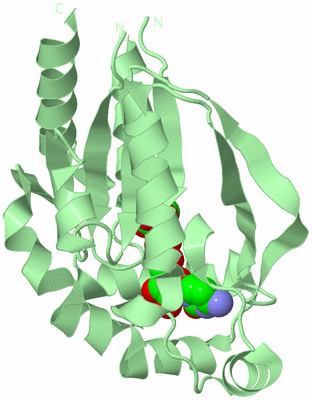 Image Biological Unit 2