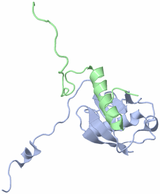 Image NMR Structure - model 1