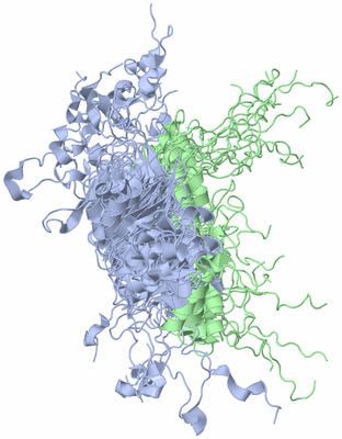 Image NMR Structure - all models