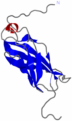 Image NMR Structure - model 1