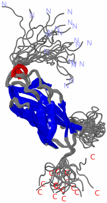 Image NMR Structure - all models