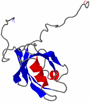 Image NMR Structure - model 1