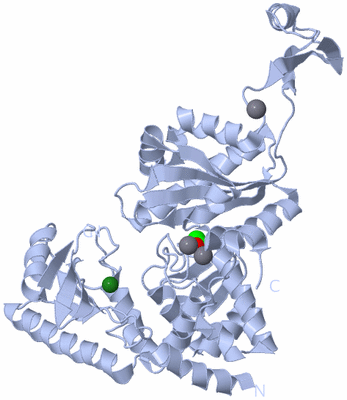 Image Biological Unit 1