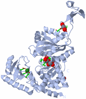 Image Biol. Unit 1 - sites