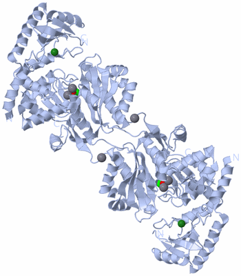 Image Biological Unit 2