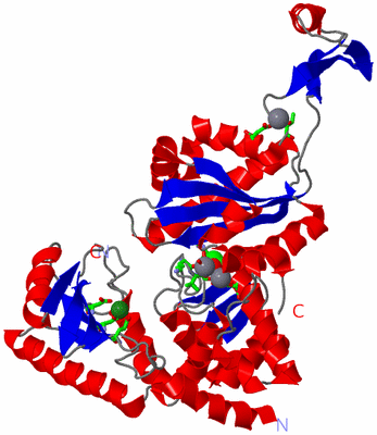 Image Asym. Unit - sites