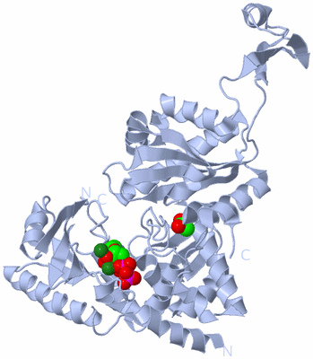 Image Biological Unit 1