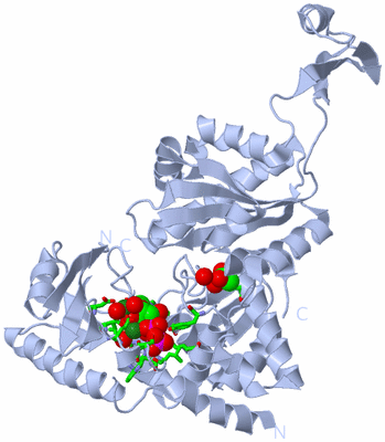 Image Biol. Unit 1 - sites