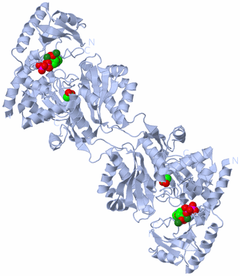 Image Biological Unit 2