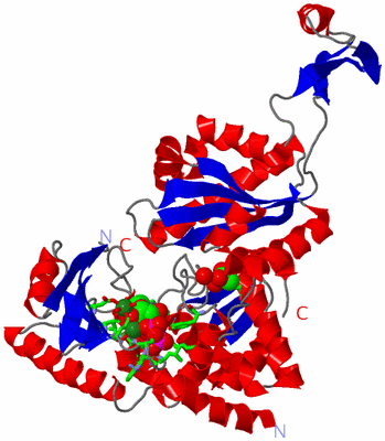 Image Asym. Unit - sites