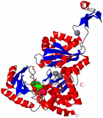 Image Asym./Biol. Unit