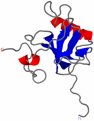 Image NMR Structure - model 1