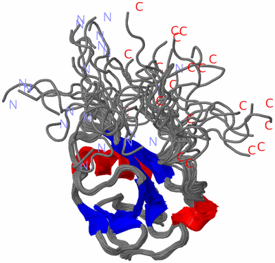 Image NMR Structure - all models