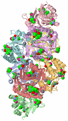 Image Asym./Biol. Unit