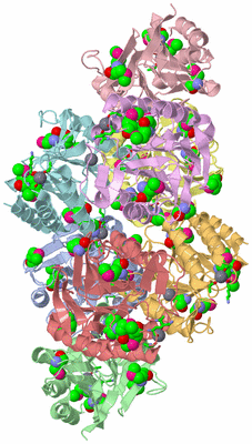 Image Asym./Biol. Unit - sites