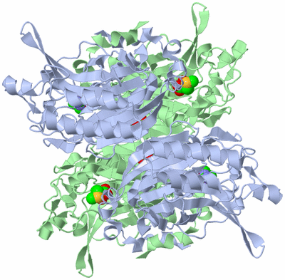 Image Biological Unit 1