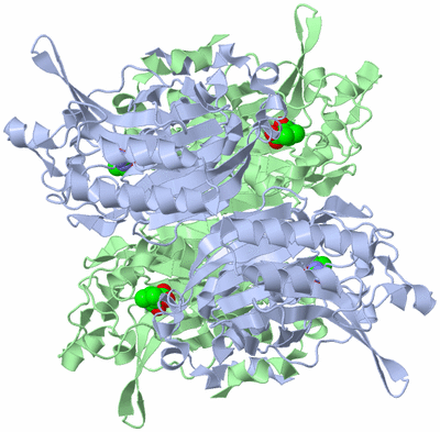 Image Biological Unit 1