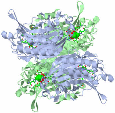 Image Biol. Unit 1 - sites