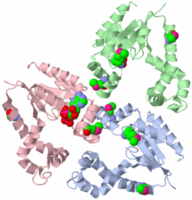 Image Asymmetric Unit
